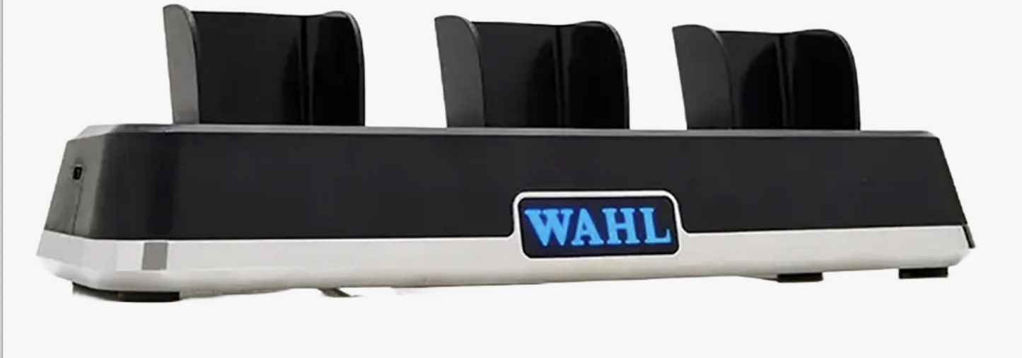 Wahl Multi-Charge-Kraftwerk