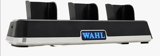 Wahl Multi-Charge Powerstation